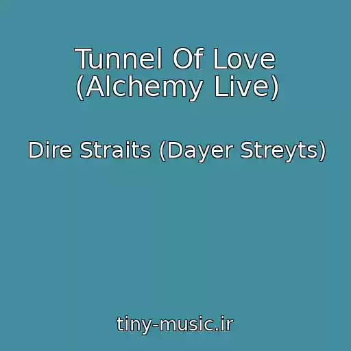 کاور آهنگ Tunnel Of Love (Alchemy Live) از Dire Straits (Dayer Streyts)