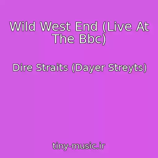 کاور آهنگ Wild West End (Live At The Bbc) از Dire Straits (Dayer Streyts)