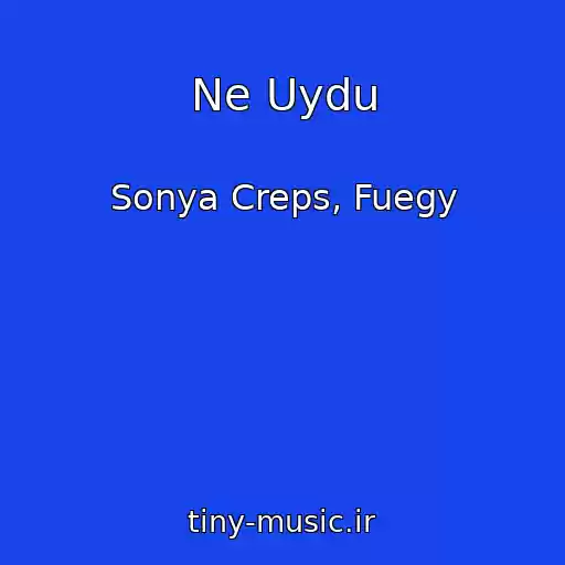 کاور آهنگ Ne Uydu از Sonya Creps, Fuegy