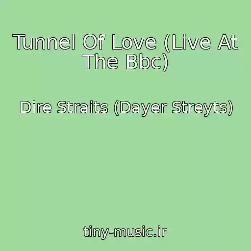 کاور آهنگ Tunnel Of Love (Live At The Bbc) از Dire Straits (Dayer Streyts)