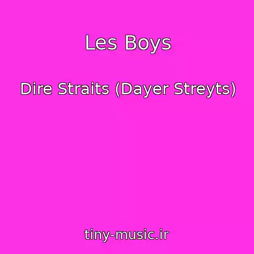 کاور آهنگ Les Boys از Dire Straits (Dayer Streyts)