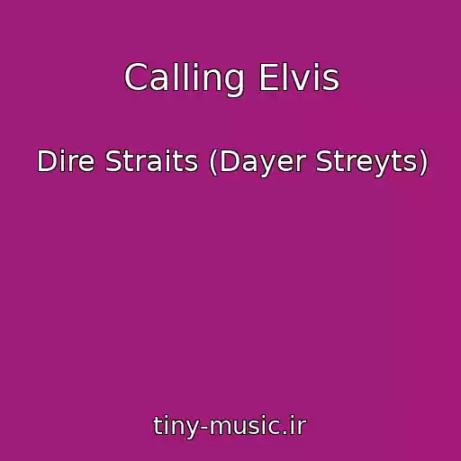 کاور آهنگ Calling Elvis از Dire Straits (Dayer Streyts)