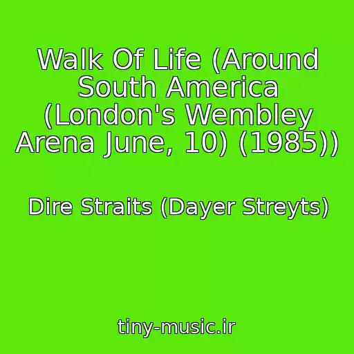 کاور آهنگ Walk Of Life (Around South America (London's Wembley Arena June, 10) (1985)) از Dire Straits (Dayer Streyts)
