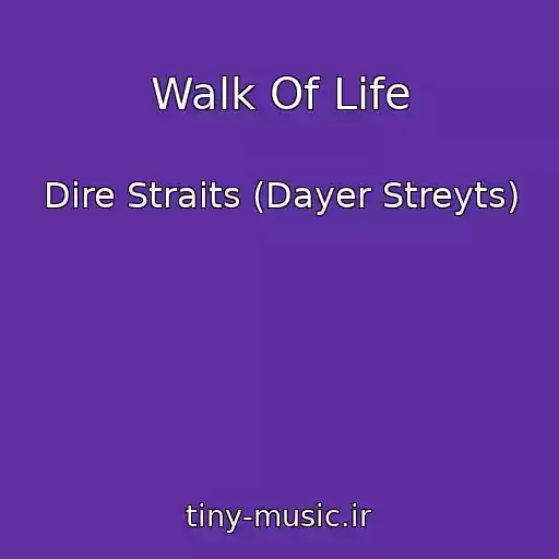 کاور آهنگ Walk Of Life از Dire Straits (Dayer Streyts)