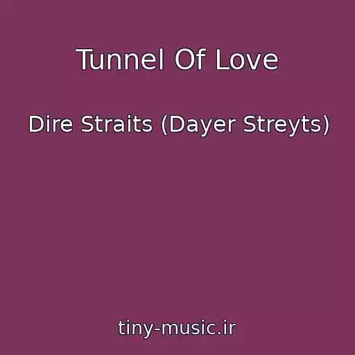 کاور آهنگ Tunnel Of Love از Dire Straits (Dayer Streyts)