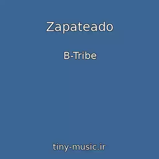 کاور آهنگ Zapateado از B-Tribe
