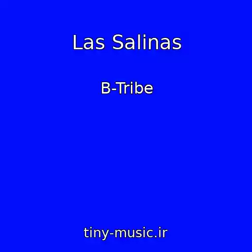 کاور آهنگ Las Salinas از B-Tribe