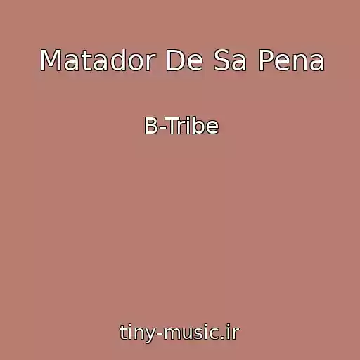 کاور آهنگ Matador De Sa Pena از B-Tribe