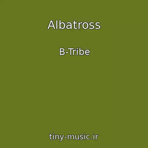 کاور آهنگ Albatross از B-Tribe