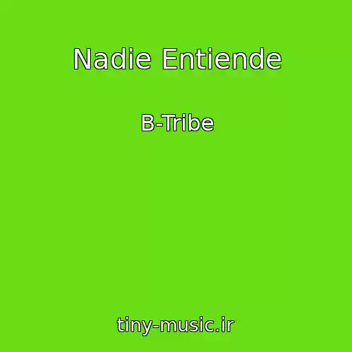 کاور آهنگ Nadie Entiende از B-Tribe