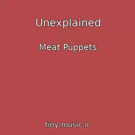 کاور آهنگ Unexplained از Meat Puppets