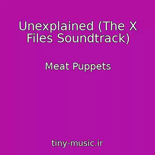 کاور آهنگ Unexplained (The X Files Soundtrack) از Meat Puppets