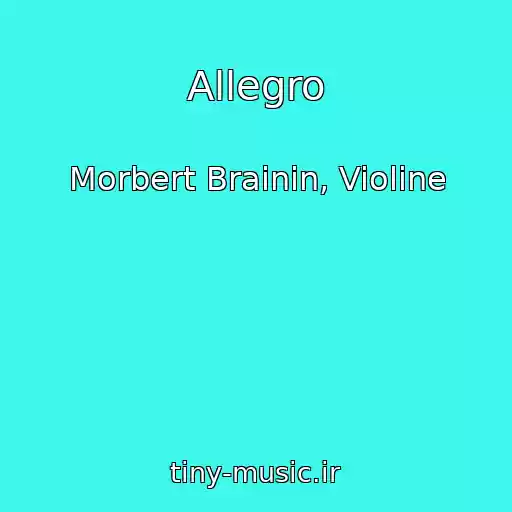 کاور آهنگ Allegro از Morbert Brainin, Violine