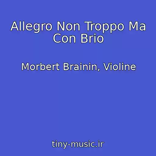 کاور آهنگ Allegro Non Troppo Ma Con Brio از Morbert Brainin, Violine