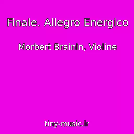 کاور آهنگ Finale. Allegro Energico از Morbert Brainin, Violine