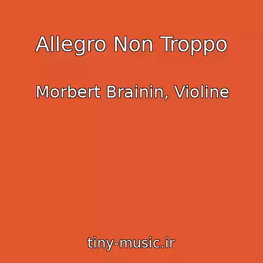 کاور آهنگ Allegro Non Troppo از Morbert Brainin, Violine