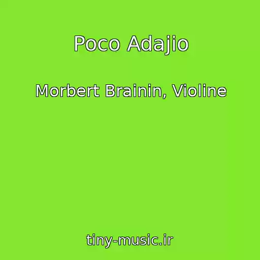 کاور آهنگ Poco Adajio از Morbert Brainin, Violine