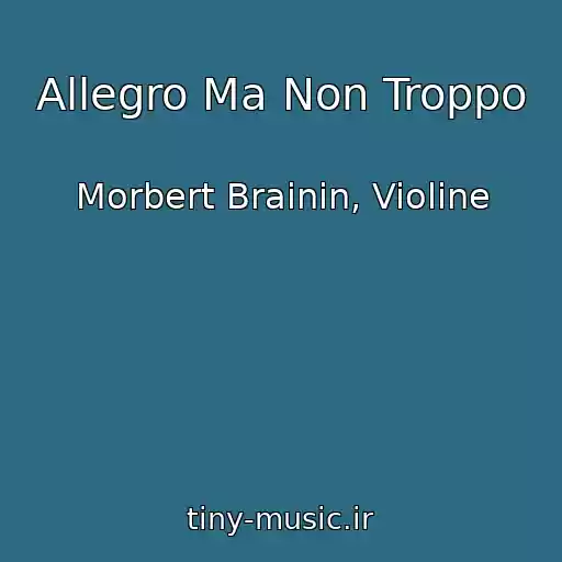 کاور آهنگ Allegro Ma Non Troppo از Morbert Brainin, Violine