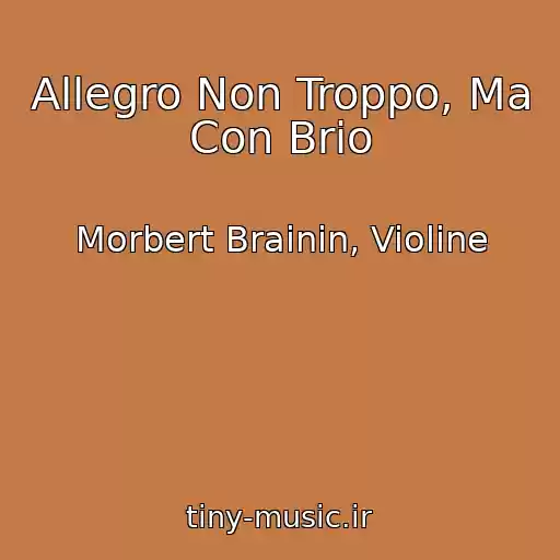 کاور آهنگ Allegro Non Troppo, Ma Con Brio از Morbert Brainin, Violine