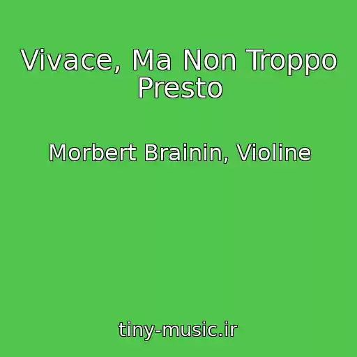 کاور آهنگ Vivace, Ma Non Troppo Presto از Morbert Brainin, Violine
