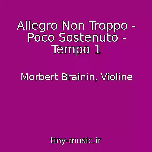 کاور آهنگ Allegro Non Troppo - Poco Sostenuto - Tempo 1 از Morbert Brainin, Violine
