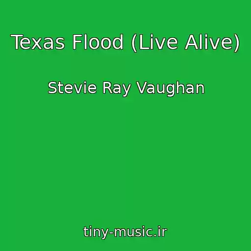 کاور آهنگ Texas Flood (Live Alive) از Stevie Ray Vaughan