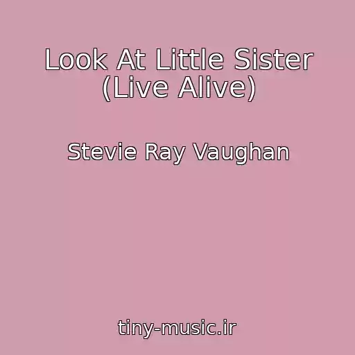 کاور آهنگ Look At Little Sister (Live Alive) از Stevie Ray Vaughan