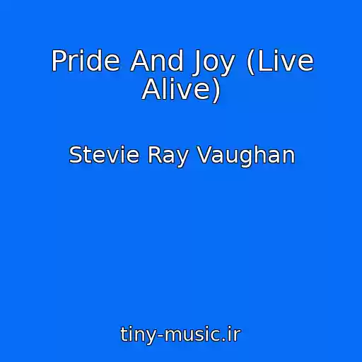 کاور آهنگ Pride And Joy (Live Alive) از Stevie Ray Vaughan