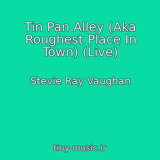 کاور آهنگ Tin Pan Alley (Aka Roughest Place In Town) (Live) از Stevie Ray Vaughan