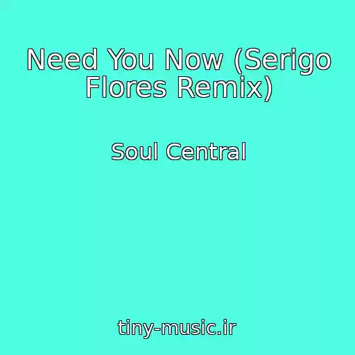 کاور آهنگ Need You Now (Serigo Flores Remix) از Soul Central