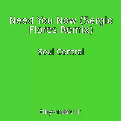کاور آهنگ Need You Now (Sergio Flores Remix) از Soul Central