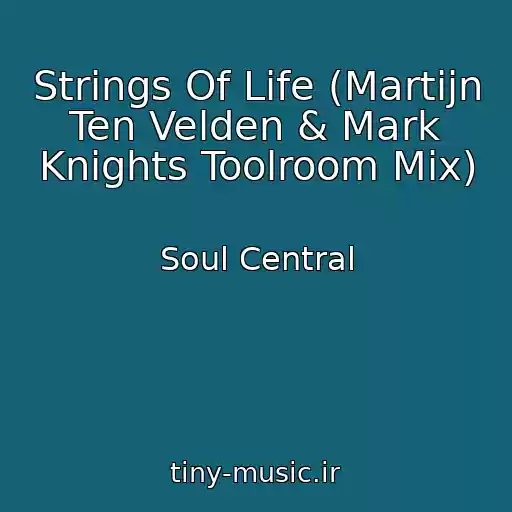 کاور آهنگ Strings Of Life (Martijn Ten Velden & Mark Knights Toolroom Mix) از Soul Central