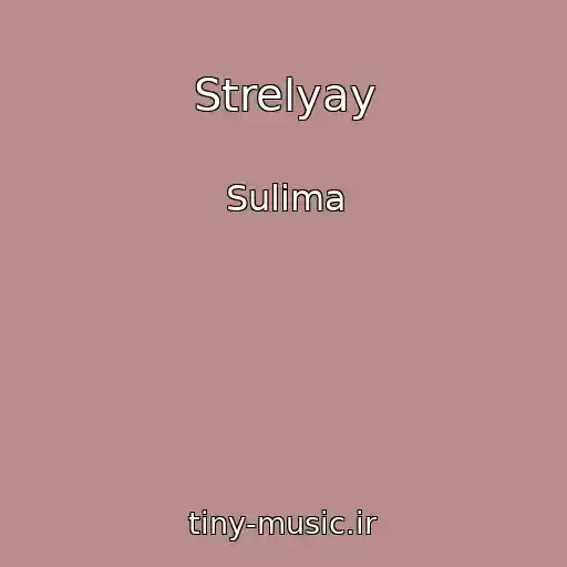 کاور آهنگ Strelyay از Sulima