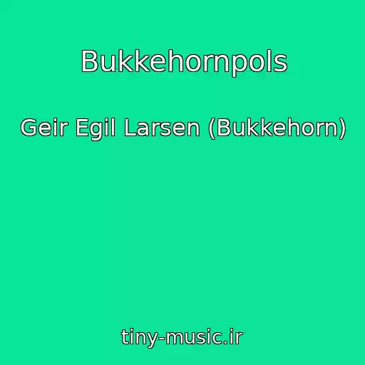کاور آهنگ Bukkehornpols از Geir Egil Larsen (Bukkehorn)