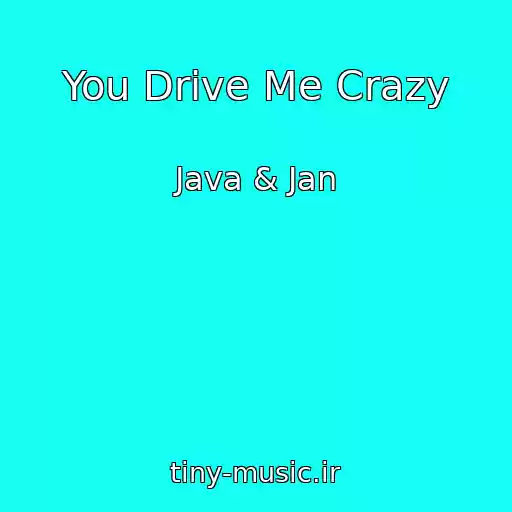 کاور آهنگ You Drive Me Crazy از Java & Jan