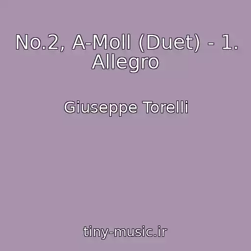 کاور آهنگ No.2, A-Moll (Duet) - 1. Allegro از Giuseppe Torelli