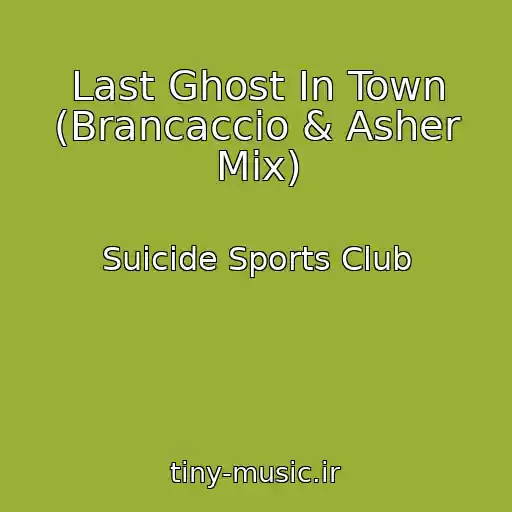 کاور آهنگ Last Ghost In Town (Brancaccio & Asher Mix) از Suicide Sports Club