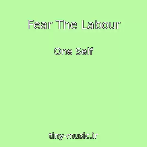 کاور آهنگ Fear The Labour از One Self
