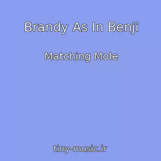 کاور آهنگ Brandy As In Benji از Matching Mole