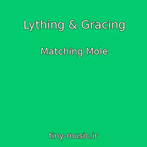 کاور آهنگ Lything & Gracing از Matching Mole