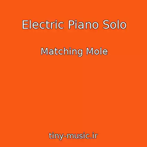 کاور آهنگ Electric Piano Solo از Matching Mole