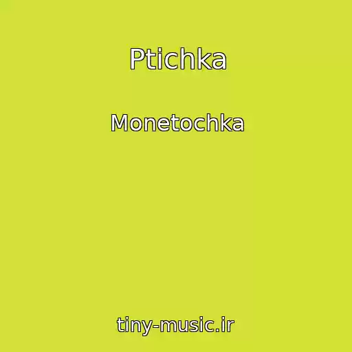 کاور آهنگ Ptichka از Monetochka