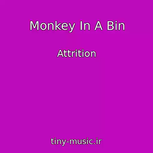 کاور آهنگ Monkey In A Bin از Attrition