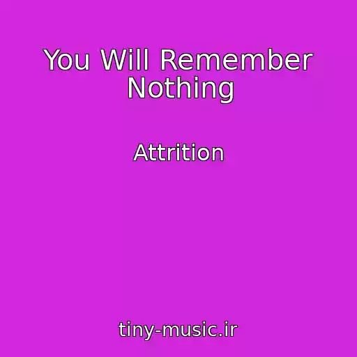 کاور آهنگ You Will Remember Nothing از Attrition