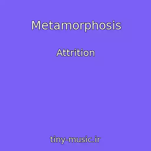 کاور آهنگ Metamorphosis از Attrition