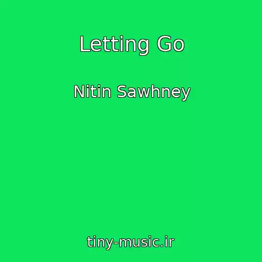 کاور آهنگ Letting Go از Nitin Sawhney