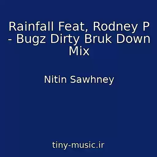 کاور آهنگ Rainfall Feat, Rodney P - Bugz Dirty Bruk Down Mix از Nitin Sawhney