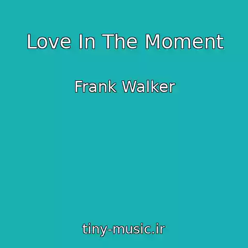 کاور آهنگ Love In The Moment از Frank Walker