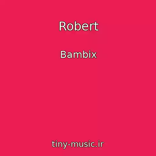کاور آهنگ Robert از Bambix