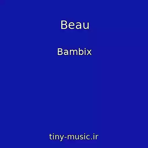 کاور آهنگ Beau از Bambix